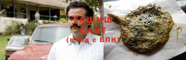 индика Пестово