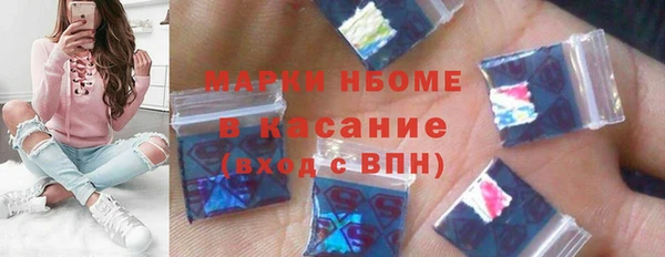индика Пестово