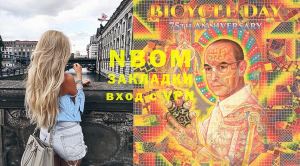 индика Пестово
