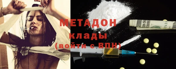 индика Пестово