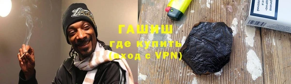 индика Пестово
