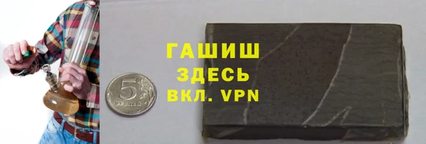 индика Пестово