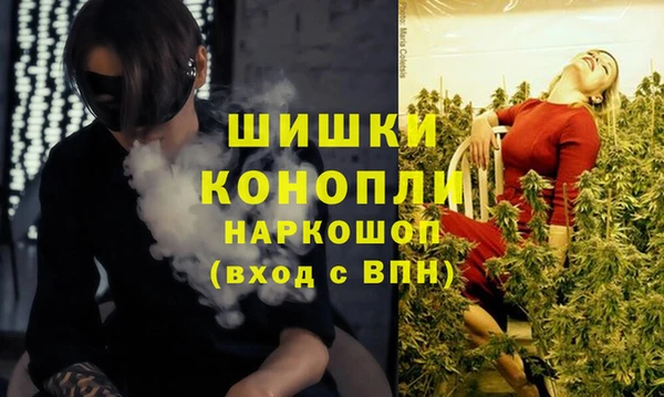 индика Пестово