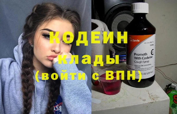 индика Пестово