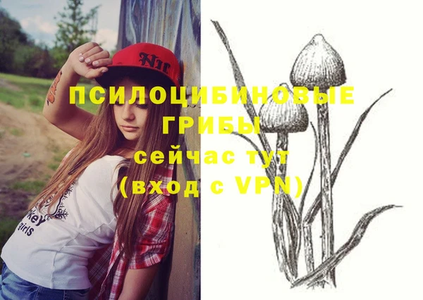 MESCALINE Бежецк