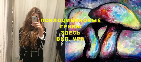 ешки Пересвет