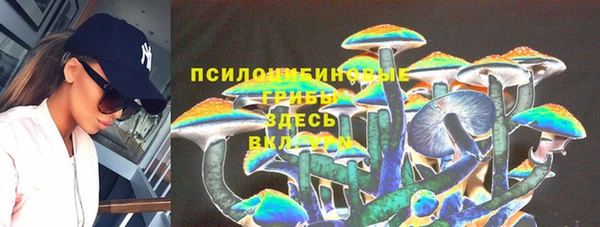 соль курить ск Переславль-Залесский