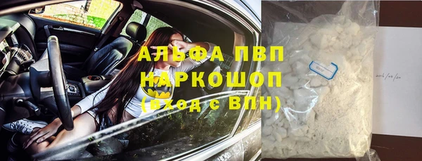 индика Пестово