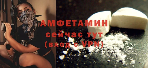индика Пестово