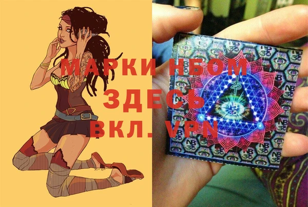 ешки Пересвет