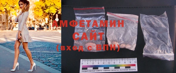 индика Пестово