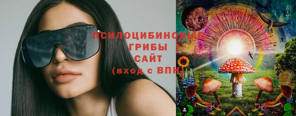 индика Пестово