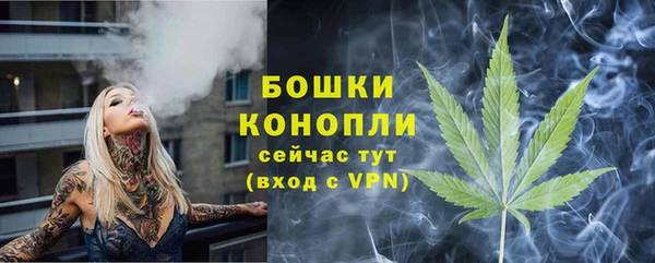 ешки Пересвет