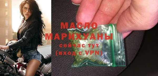 индика Пестово