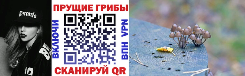 Галлюциногенные грибы Psilocybe  дарк нет наркотические препараты  Хадыженск  купить  цена 